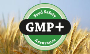 GMP+ certification